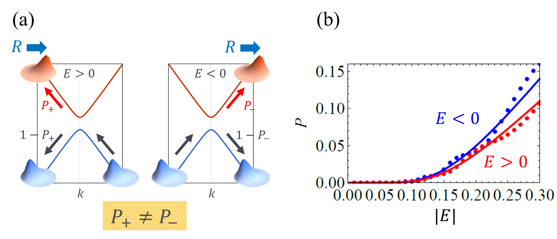 (a) 非相反トンネリングの概念図。空間反転対称性の破れた絶縁体では伝導帯と価電子帯で電子の重心位置がずれることがある。このずれはシフトベクトル<i>R</i>と呼ばれる幾何学的な量で表される。電場<i>E</i>のもとで電子の波数<i>k</i>が変化する過程で、価電子帯から伝導帯へ一定確率<i>P</i>で電子がすりぬける。(b) 電場<i>E</i>に関して非摂動的なトンネル確率<i>P</i>。幾何学効果により電場の正負で値が異なる。